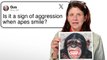 Primatologist Answers Ape Questions From Twitter | Tech Support