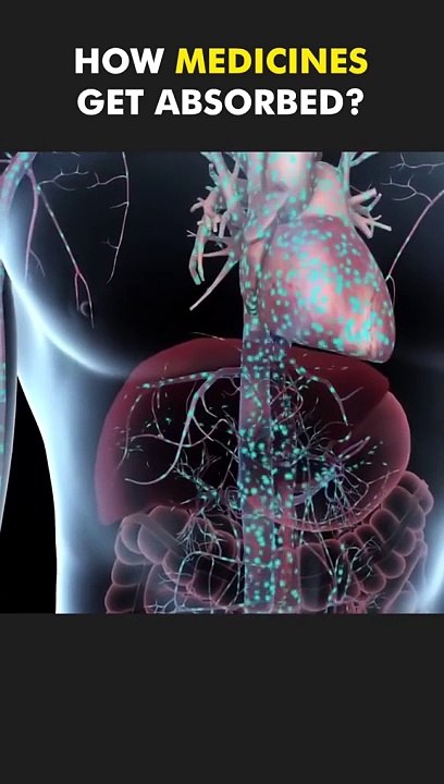 How Medicine Get Absorbed - video Dailymotion