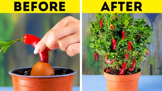 Garden Like a Pro  Transform Your Yard with These Top Hacks and Tips! - BIBI ANIME