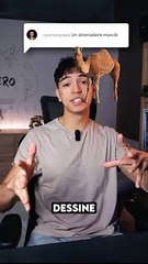 Comment dessiner un dromadaire musclé 🐪