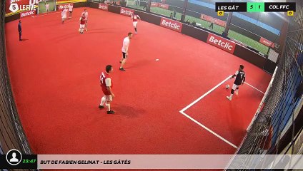 But de Fabien GELINAT - LES GÂTÉS