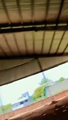  ZS Mayo Engineering Services: Your One-Stop Solution for All Your Structural Needs! ️