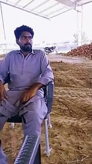  ZS Mayo Engineering Services: Your One-Stop Solution for All Your Structural Needs!