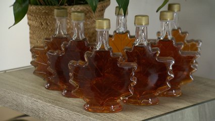 Temps des sucres : une saison historique pour Nokomis