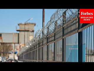 Nadler Asks Witness About The Influence Of 'Commercial Interests On The Criminal Justice System'