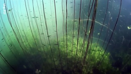 Vers une gestion durable de l’eau _ Bonnes nouvelles de la planète _ ARTE