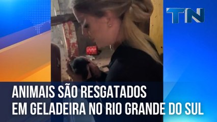 Animais são resgatados em geladeira no Rio Grande do Sul