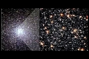 AS ESTRELAS E BALEIAS LOUVAM A DEUS   DUBLADO ORIGINAL