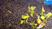 PSG vs Borussia Dortmund 0-1 - All Goals _ Highlights - Champions League 2024