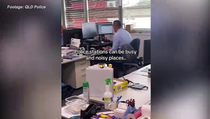 Every police station in QLD to have safe spaces for DV victim-survivors