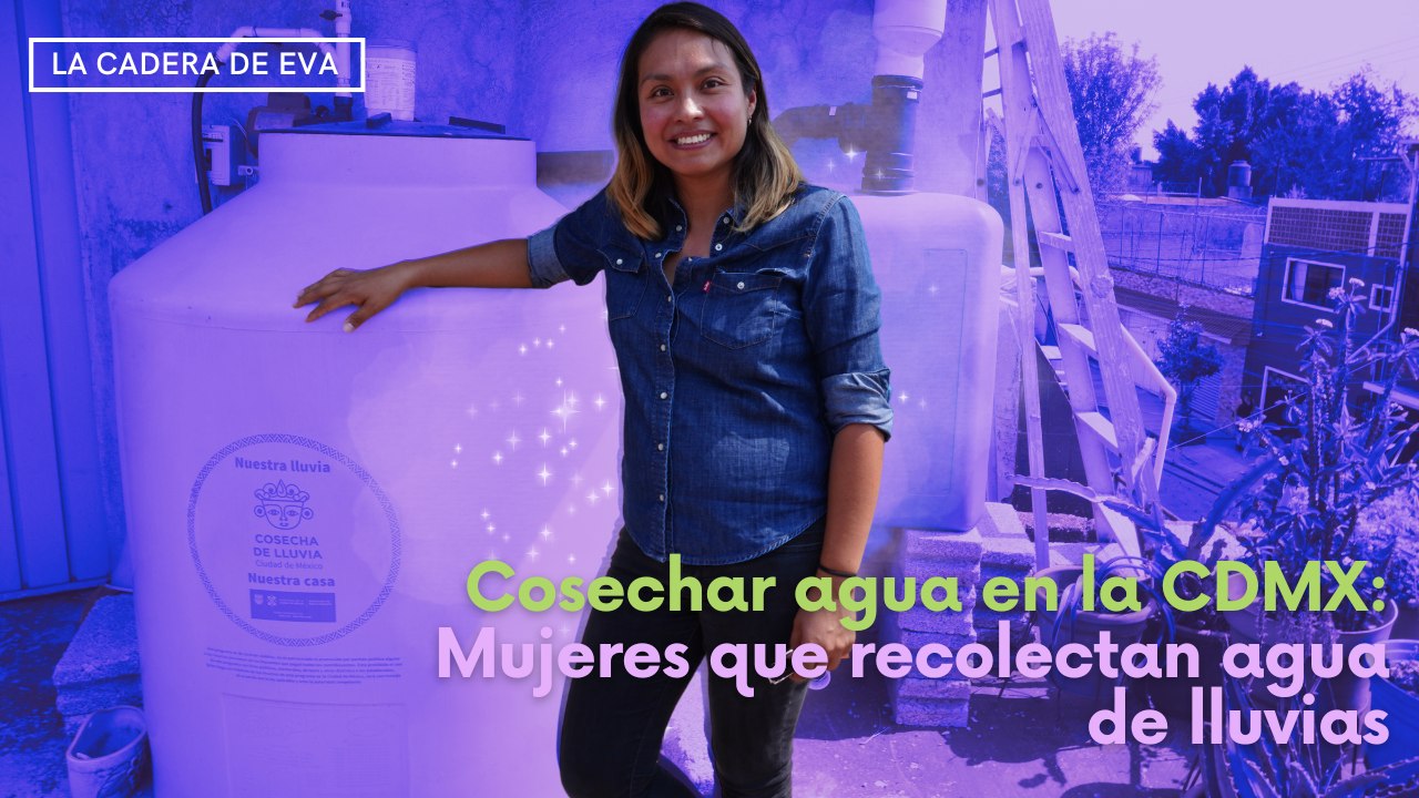 Cosechar agua en la CDMX: Mujeres que recolectan agua de lluvias