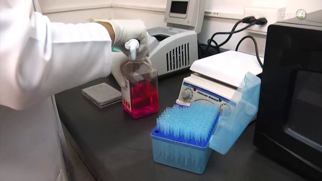 Microbiota, un tratamiento para enfermedades gastrointestinales, alergias y hasta el Alzheimer