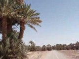 Une piste au coeur de l'oasis de Mhamid le vieux