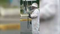 tn7-Video- Abejas atacan a más de 30 personas en Turrialba-070524