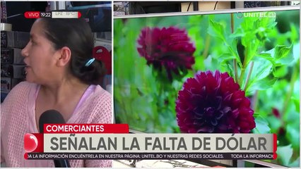 Desde material de construcción hasta medicinas, los sectores en crisis por la falta de dólares en Bolivia