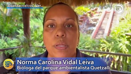Ecotecnia, alternativa ante estiaje en Coatzacoalcos; Quetzalli explica como funciona