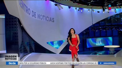 La mexicana Cristina Rivera Garza gana el Premio Pulitzer 2024