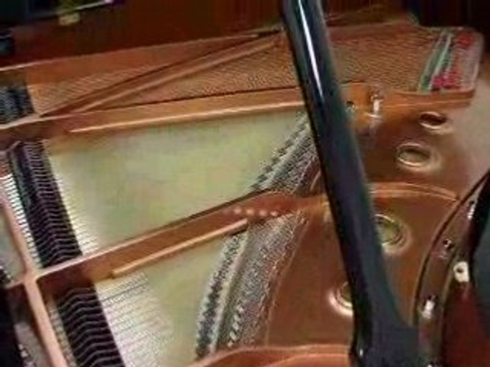 Brodmann Piano Review - Introduction and Overview