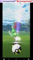 Pokémon GO-Shiny Scyther