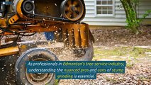 Edmonton’s Professional Weigh In The Nuanced Pros & Cons Of Stump Grinding