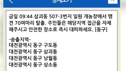 "맹견 70마리 탈출, 대피하라"...잘못 보낸 문자에 소동 / YTN