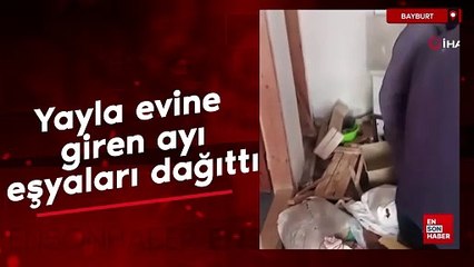 Bayburt’ta yayla evine giren ayı eşyaları dağıttı