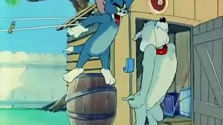Tom and Jerry cartoon episode 44 - Love That Pup 1949 - Funny animals cartoons for kids