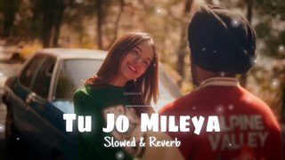 JUSS | Tu Jo Mileya (Slowed | Reverb) | MixSingh |  New Punjabi | Romantic Song 2024