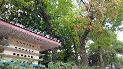 Gala Mode: Rizal Park