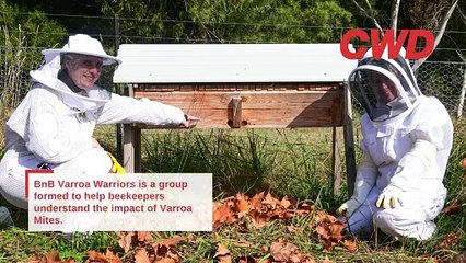 Join the BnB Varroa Warriors Group 🐝 – Protect Your Bees Today!