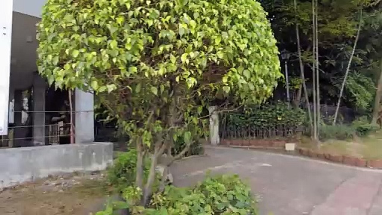 Luneta Gala Mode