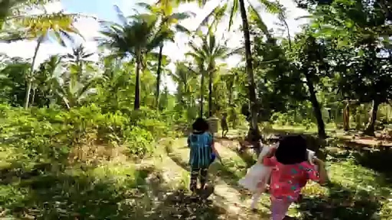 On the way to farm
