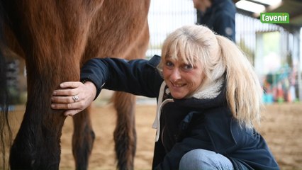 Sombreffe: du Shiatsu pour les... chevaux