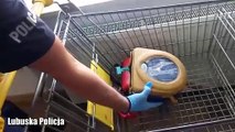 Mężczyzna ukradł defibrylatory z Zielonej Góry