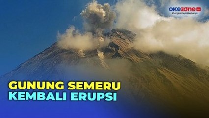 Descargar video: Disertai Guguran Material Vulkanik, Gunung Semeru Kembali Erupsi dengan Tinggi Kolom Asap  Mencapai 1.000 Meter