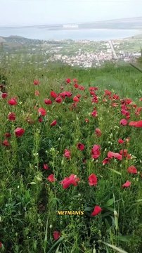 Eşsiz manzarasıyla ARTOS dağı ve GEVAŞ