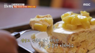 [Tasty] Fresh mango tiramisu in spring, 생방송 오늘 저녁 240508