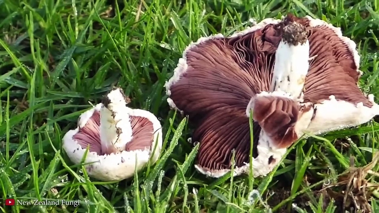 15 MYSTERIOUS Patterns Found in Nature