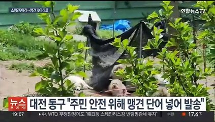 [이슈5] 윤대통령 장모 세번째 심사 끝에 가석방…14일 출소 예정 外