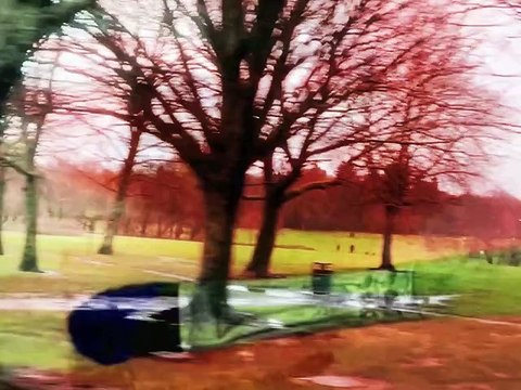 See With Your Own Damned Eyes