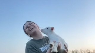 Young Woman Dances With Adorable Baby Goat