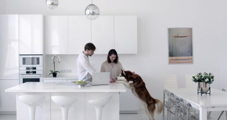 Innovative Apartments n 2024