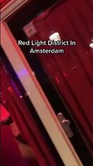 Summer nightlife Things to do in Amsterdam 2023 for vegan,couples,dating,, solo - Msterdam #shorts