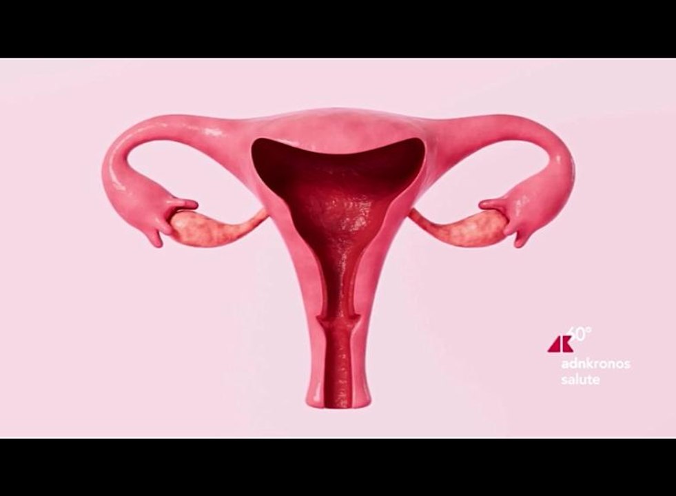 Tumore ovarico, impegno su corretta sensibilizzazione e affiancamento comunità scientifica per diagnosi precoce