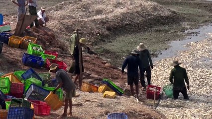 Mundo chega a 11 meses de temperaturas anormalmente altas