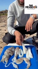 - شوفو شنو كتكلو خطر   - تتمة