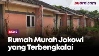 242 Rumah Murah Jokowi Hanya 63 Unit yang Dihuni, Ketua RT Bongkar Fakta Pahit