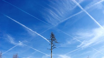 ¿Qué Son Las Líneas Blancas Que Dejan Los Aviones?