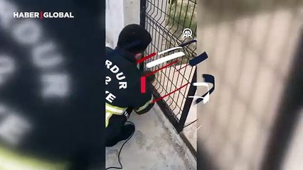 Bahçe kapısının telleri arasında kalan kirpinin imdadına itfaiye yetişti