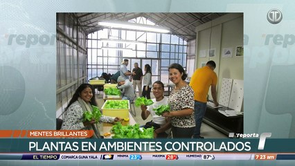 MENTES BRILLANTES.mp4